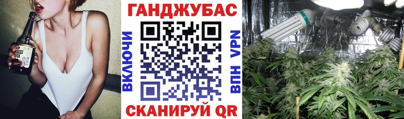 дарнет шоп  Кемь  Бошки Шишки планчик 